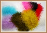 Marabou