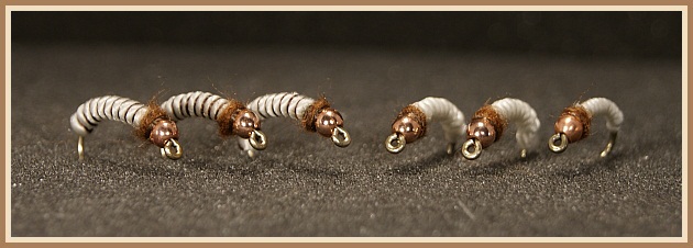 Húsnæðislausar vorflugupúpur