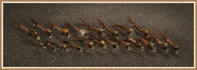 Pheasant Tail