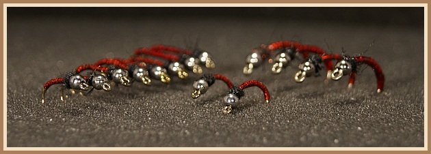 Nokkrir af blóðormunum mínum