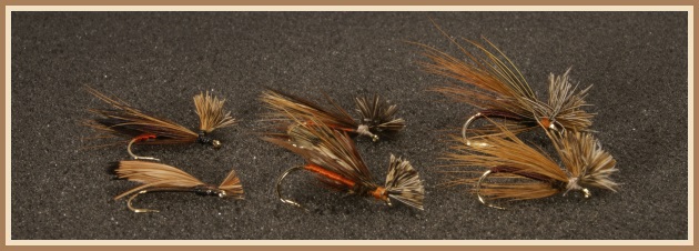 Þurrflugur úr Ringneck Pheasant