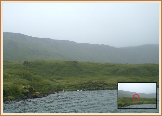 'Kjarri' á vaktinni