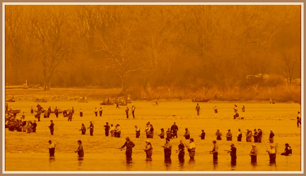 Kraðak í andstreymi