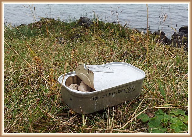 Af bökkum Hlíðarvatns