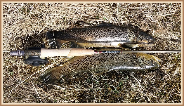 Ef Engjum Elliðavatns 2014