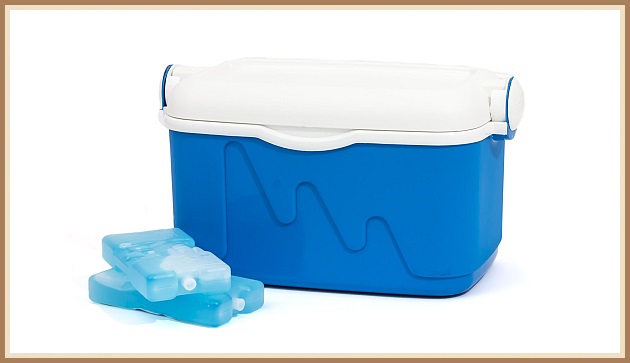 Gamla, góða kæliboxið