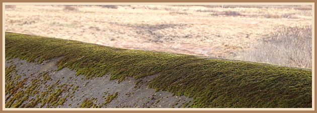 Horft yfir stífluna