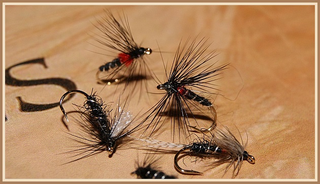 Spenntar þurrflugur