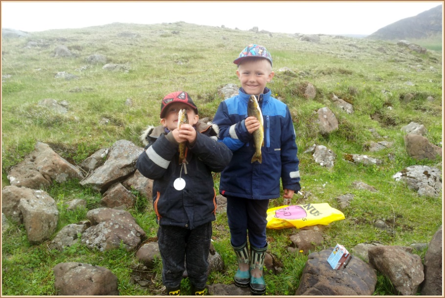 Bræðurnir Daníel Hilmar (4 ára) og Ísak Heiðar (verður 6 ára á morgun)