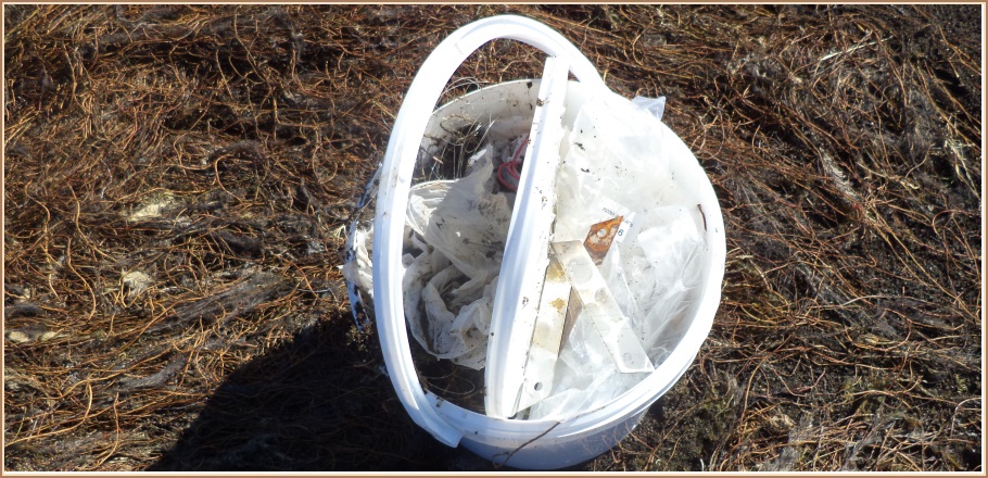 Af bökkum Selvallavatns