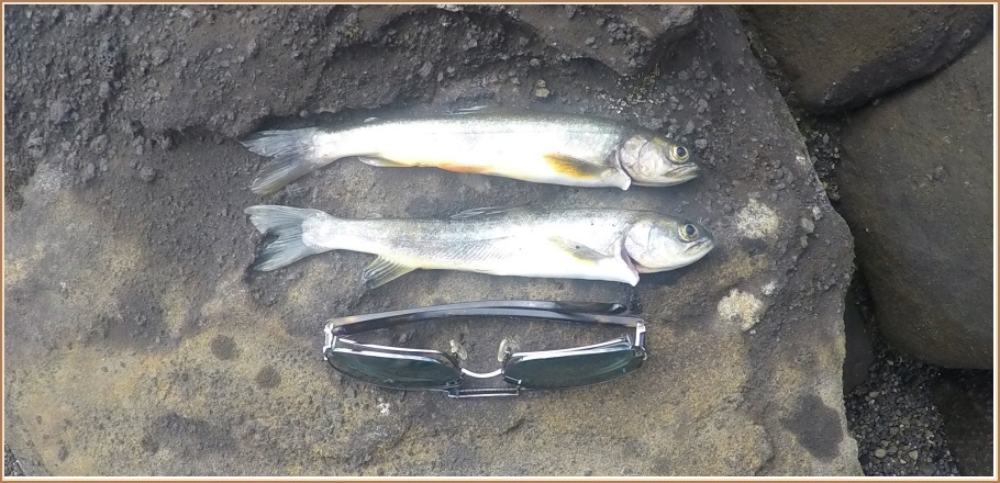 Tveir þeir stærstu úr Hrafnabjargavatni