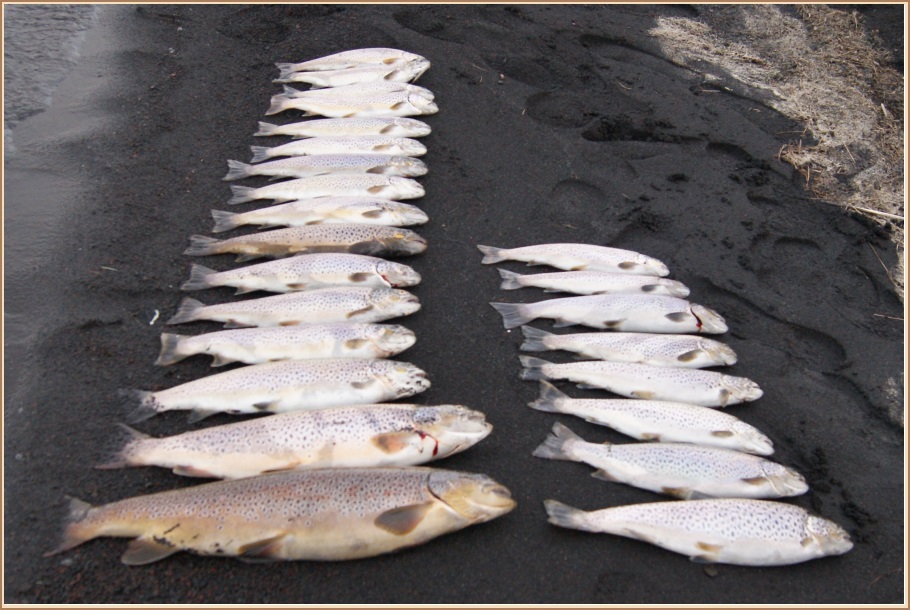 Litlisjór 30.6 - mínir til vinstri, frúarinnar til hægri.