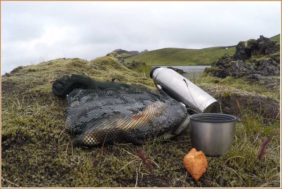 Kaffi, kleina og fiskur við Frostastaðavatn