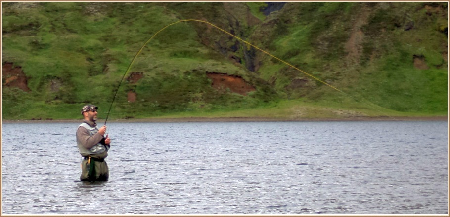 Þeir koma líka á í rólegheitum