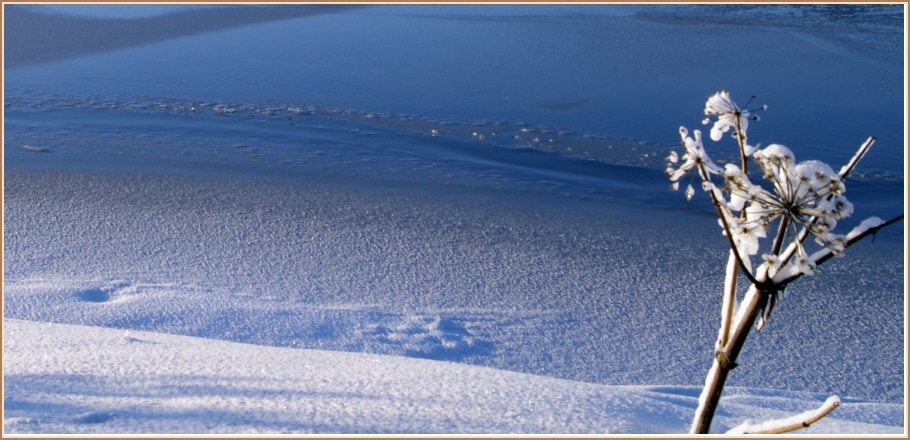 Hvað leynist undir ísnum?