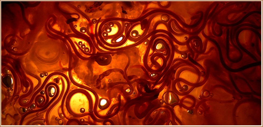 Selormur úr þorski – Pseudoterranova decipiens © Matthieu Deuté