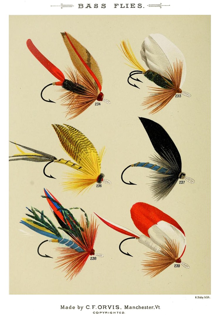 234. Academy – 235. Beaufort Moth – 236. Californian – 237. Blue Bottle – 238. Cracker – 239. Bishop