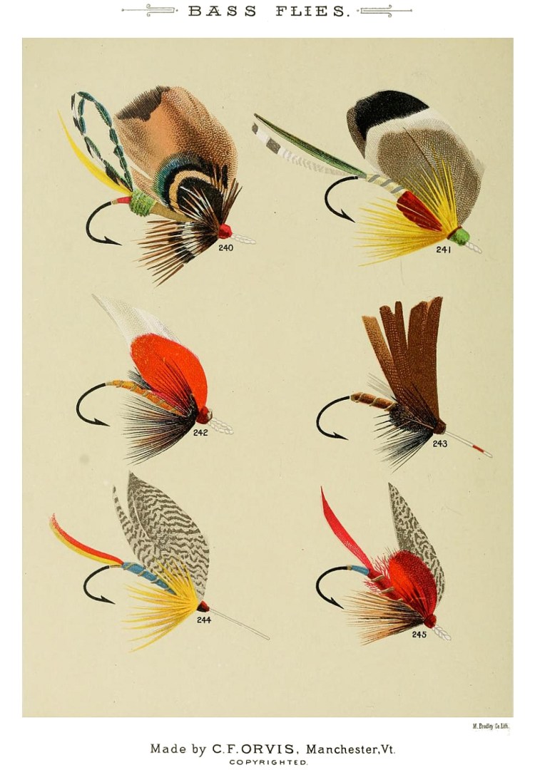 240. Cleveland – 241. Cheney – 242. Chippy – 243. Dark Flaggon – 244. Croppie – 245. Barnwell