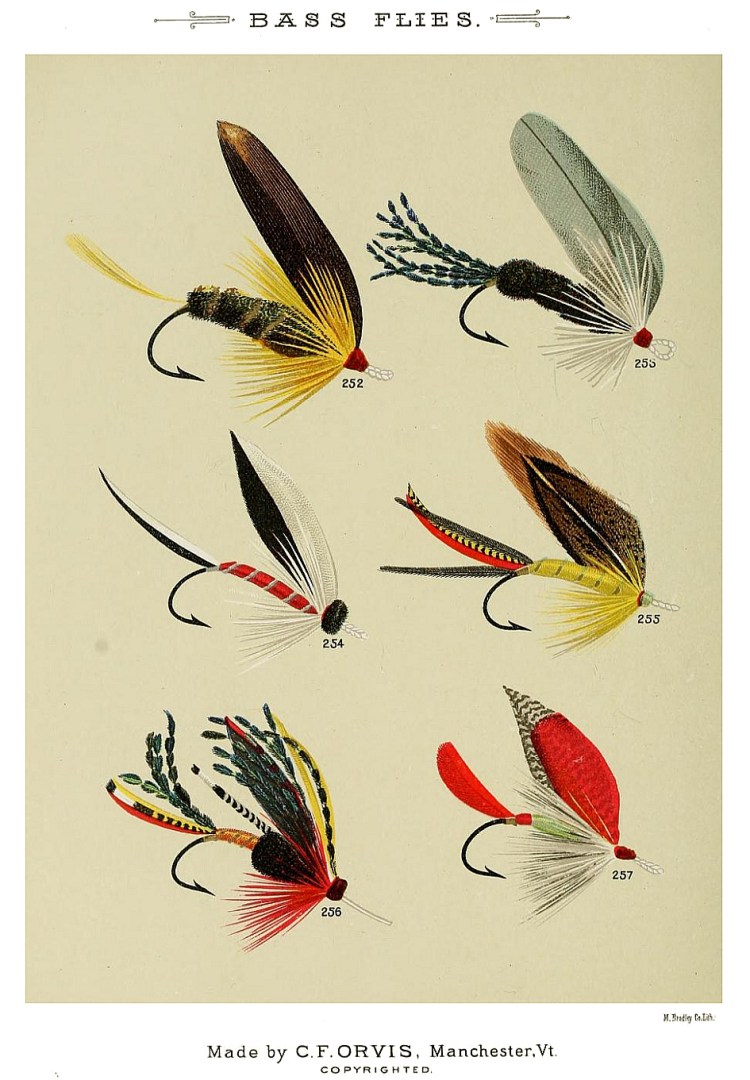 252. Golden Dustman – 253. Henshall – 254. Knight Templar – 255. Jungle Cock – 256. Holberton – 257. Holberton II