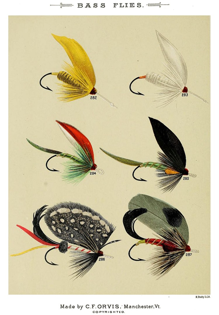 282. Yellow Miller – 283. White Miller – 284. W.H.Hammet – 285. Triumph – 286. Tipperlinn – 287. W.T.