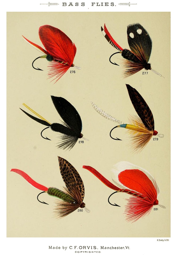 276. Scarlet Ibis – 277. Parker – 278. Raven – 279. Toodle-bug – 280. Read – 281. Premier