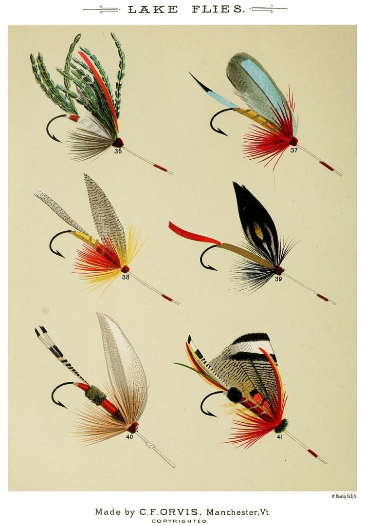 36. Alexandra – 37. Brazilian Blue-Wing – 38. B. Pond – 39. Black Prince – 40. Royal Coachman – 41. Cassard