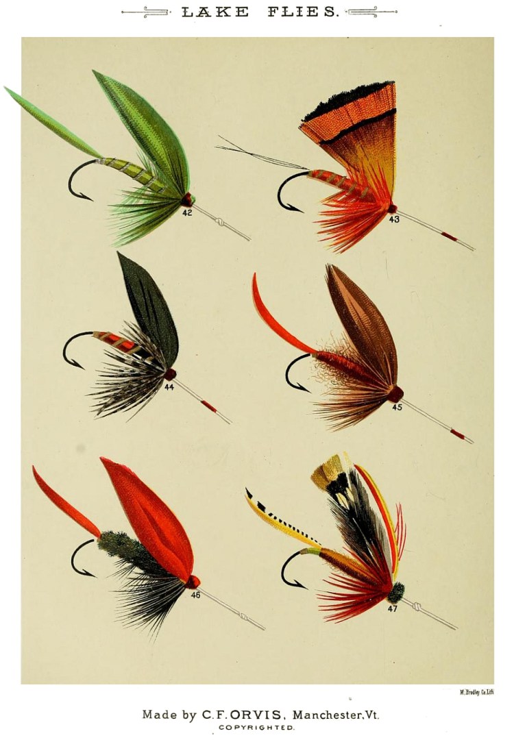 42. Green Weaver – 43. Golden Pheasant – 44. Gray Duke – 45. Fiery Brown – 46. Grackle – 47. Grasshopper
