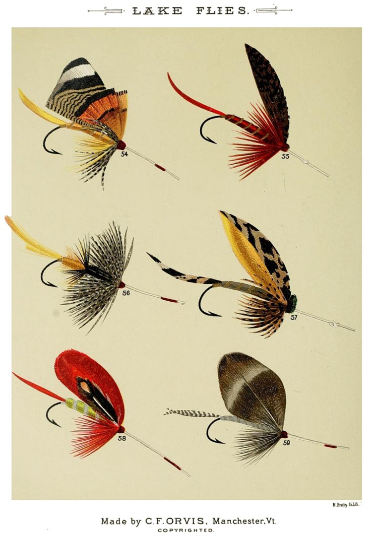 54. Moose – 55. Claret Montreal – 56. Moisio-Grub – 57. Mooselucmaguntic – 58. Juno – 59. Plymouth Rock