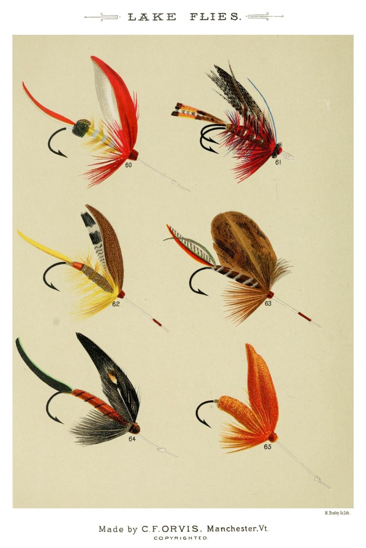 60. Parmacheene Belle – 61. Nicholson – 62. Nameless – 63. Cunningham – 64. Lord Baltimore – 65. Orange Miller