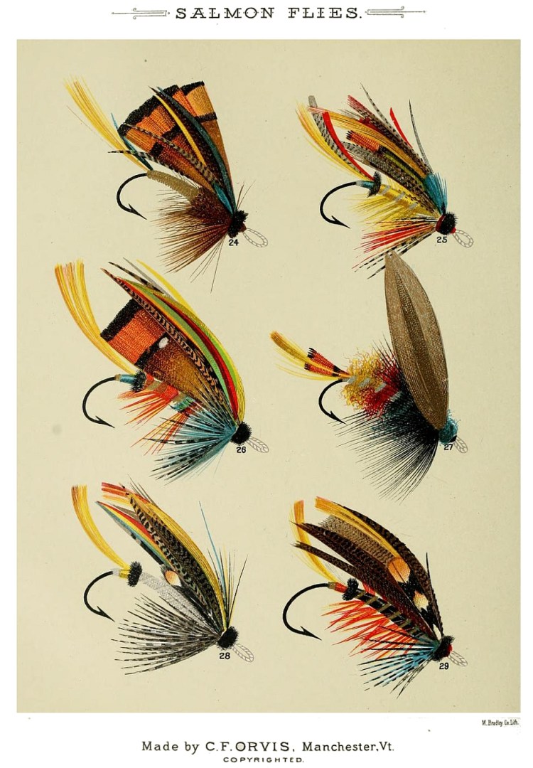 24. The Notion – 25. Childers – 26. Baker – 27. Dun Wing – 28. Dusty Miller – 29. Thunder and Lightning