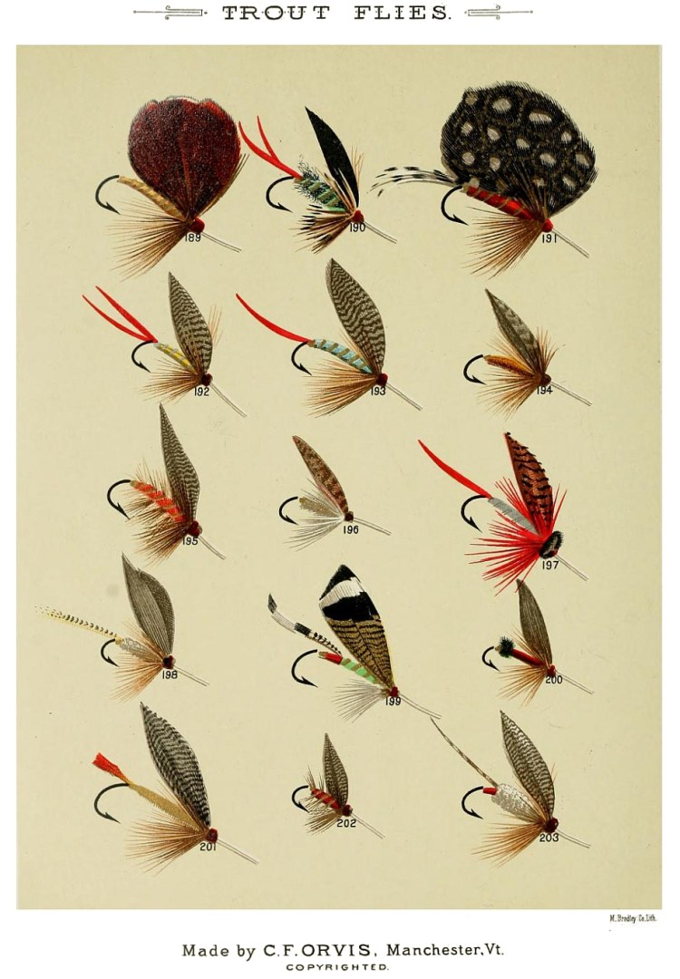 189. Pheasant – 190. Puffer – 191. Parker – 192. Professor – 193. Blue Professor – 194. Poor Man‘s Fly – 195. Queen of the Water – 196. Quaker – 197. Quack Doctor – 198. Red Fox – 199. Romeyn – 200. Red Ant – 201. Red Head – 202. Red Ash – 203. Reuben Wood