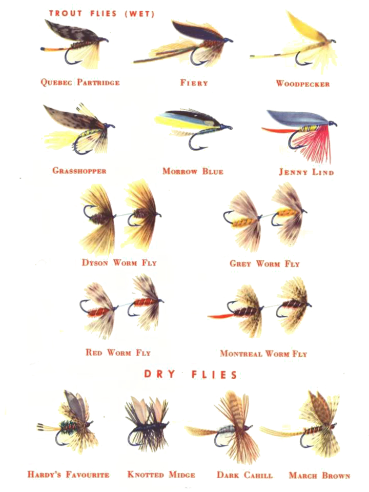 Sportsman Guide across Canada 1956