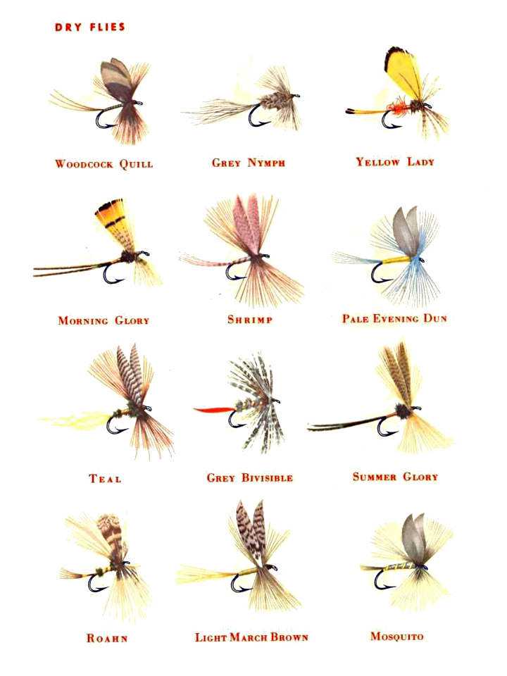 Sportsman Guide across Canada 1956