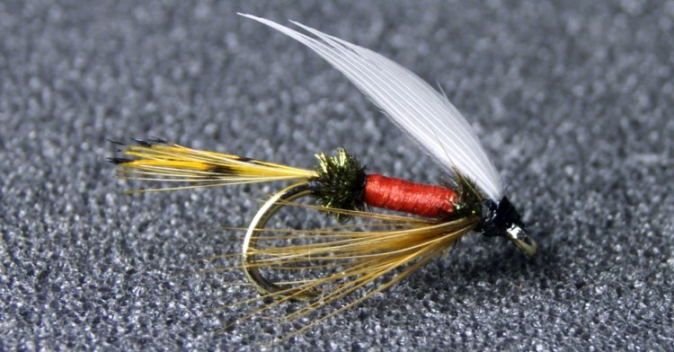 Royal Coachman votfluga