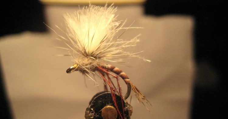 Sigurður Kristjánsson - Númer 14