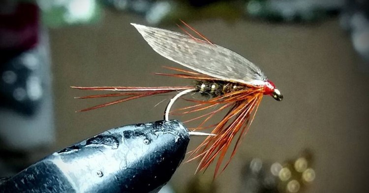 Robert Nowak - March Brown