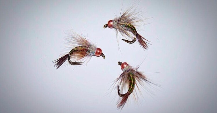 Skúli Thorarensen - Púpur