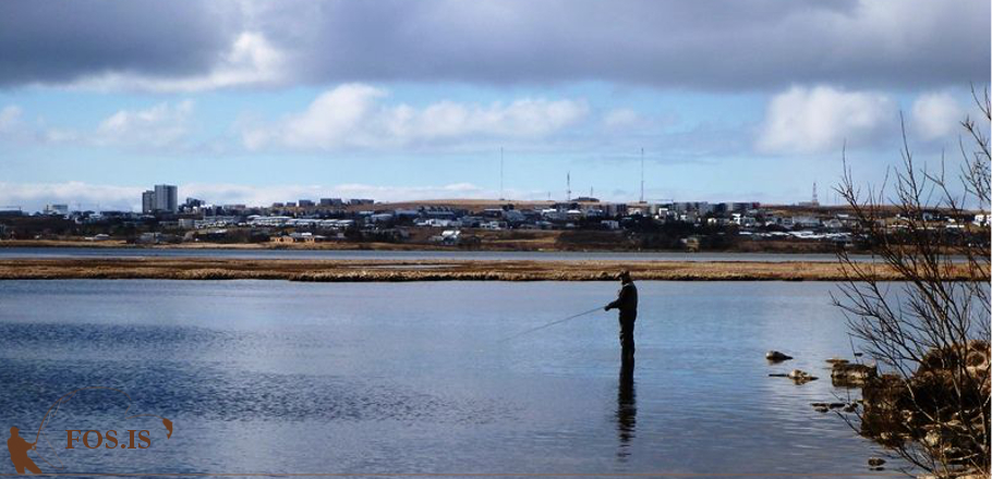 fos_kf_ellidavatn