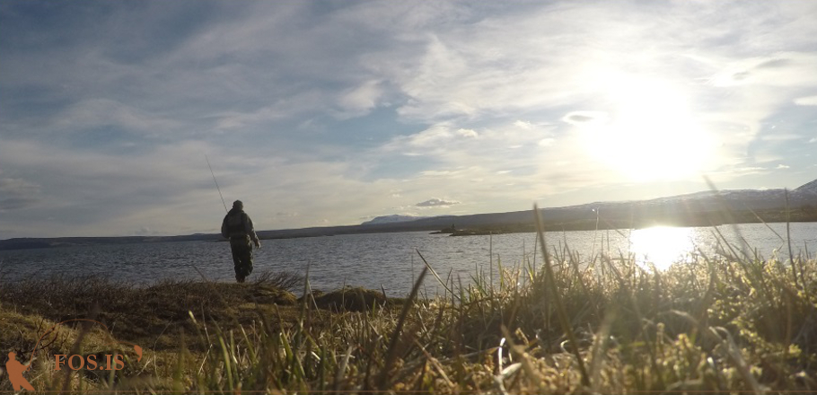 fos_kf_thingvallavatn_kvold