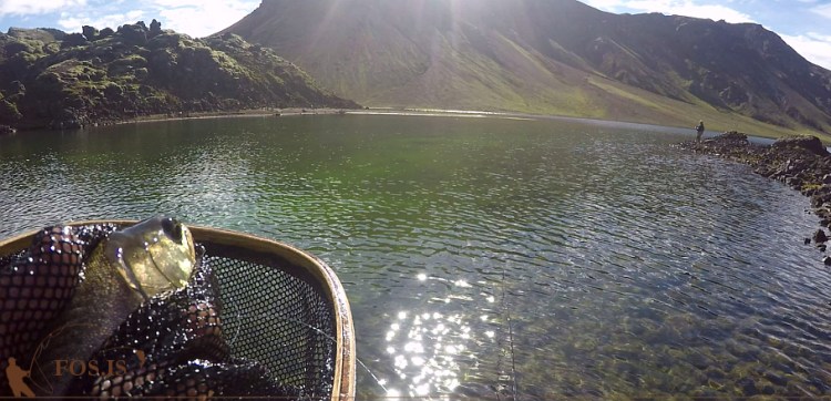 Ekkert rok, aðeins blíða