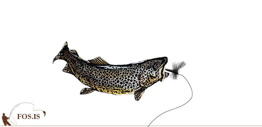 fos_urridi_fluga_teikning