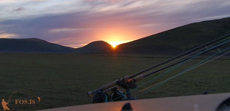 Þessar eru öruggar á leiðinni heim
