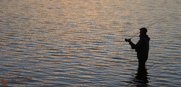 Þessi skuggi styggir engan