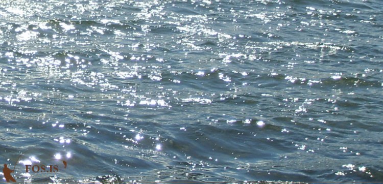 Hér gæti glampað á taum