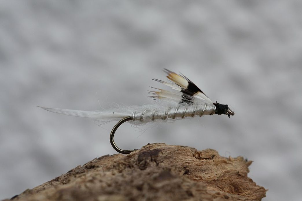 Rjúpan - smellið á myndina fyrir umfjöllun