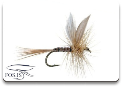 Blue Quill – þurrfluga