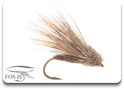 Ethel the Streaking Caddis