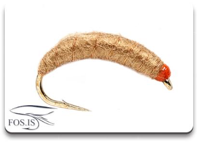 Killer Bug