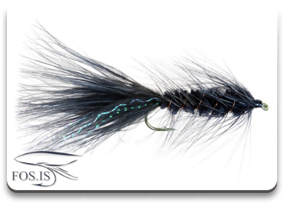 Woolly Bugger