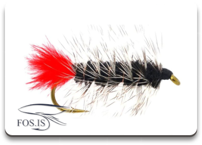 Woolly Worm